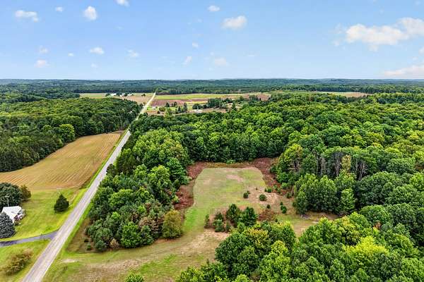 10 Acres of Land for Sale in Kaleva, Michigan