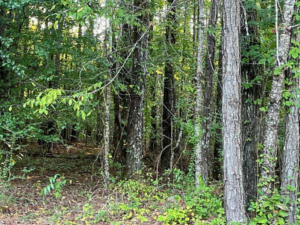 Residential Land for Sale in Jasper, Alabama