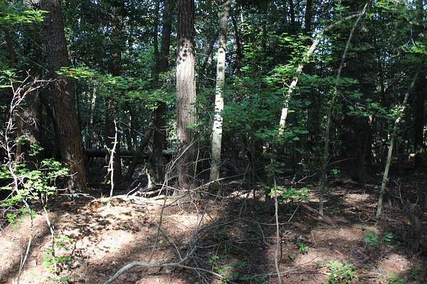 0.18 Acres of Residential Land for Sale in Greenbackville, Virginia