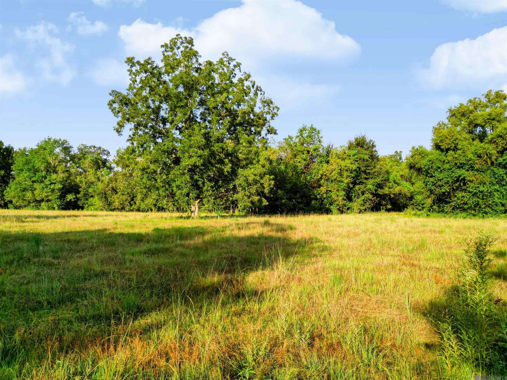 2 Acres of Residential Land for Sale in Geismar, Louisiana
