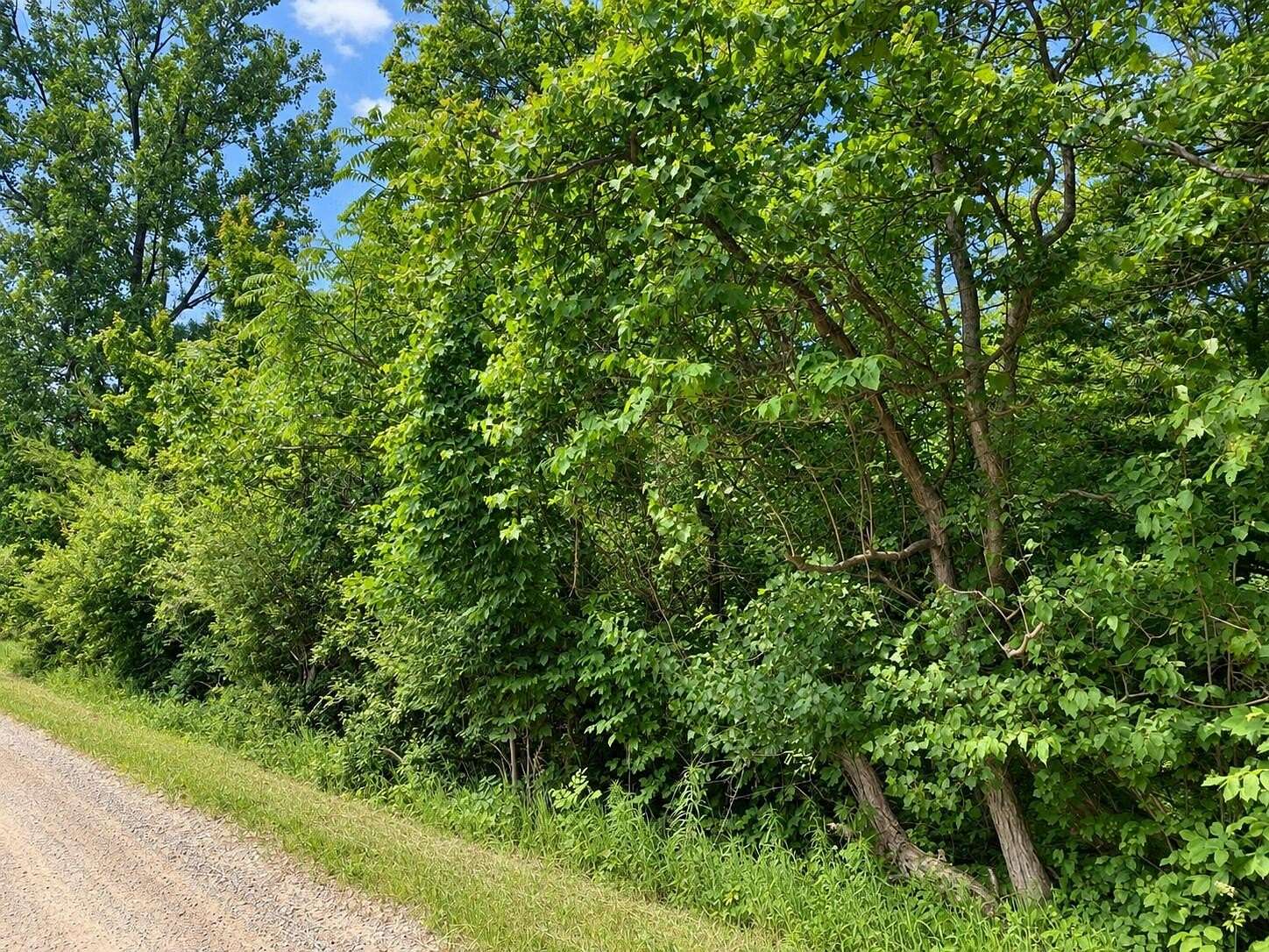 5 Acres of Residential Land for Sale in Grand Junction, Michigan