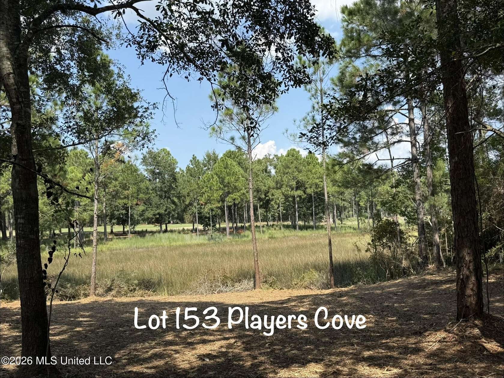 0.81 Acres of Residential Land for Sale in Gautier, Mississippi