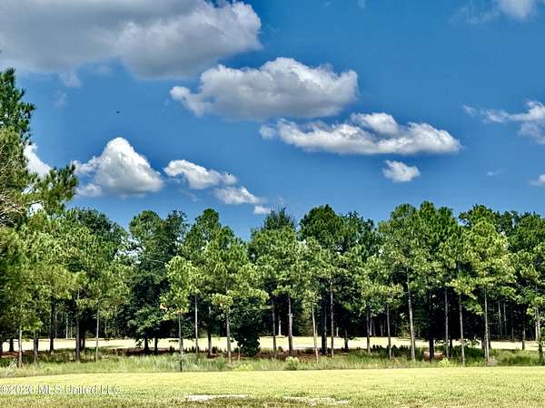 0.81 Acres of Residential Land for Sale in Gautier, Mississippi