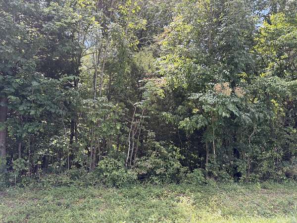 43.3 Acres of Recreational Land for Sale in Southside, Tennessee