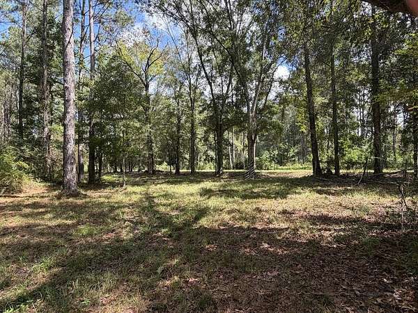 87 Acres of Land for Sale in Rutledge, Alabama