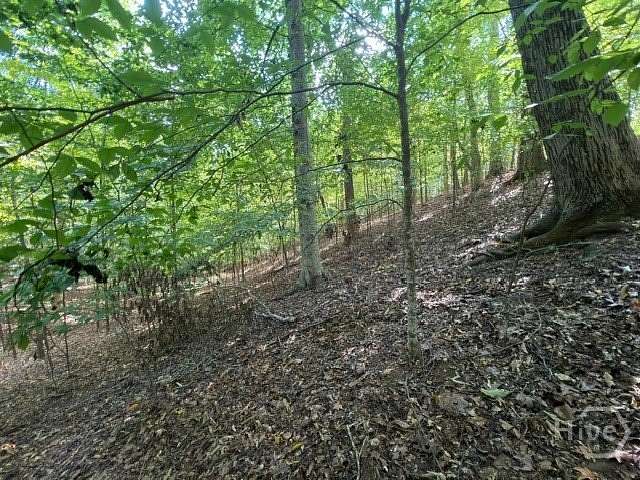 0.38 Acres of Residential Land for Sale in Westminster, South Carolina