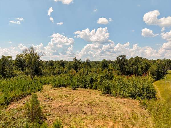 31.5 Acres of Recreational Land for Sale in Noxapater, Mississippi