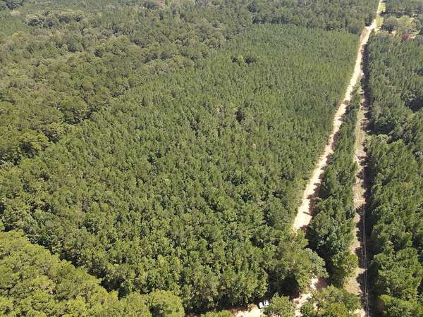 16.2 Acres of Recreational Land for Sale in Smithdale, Mississippi
