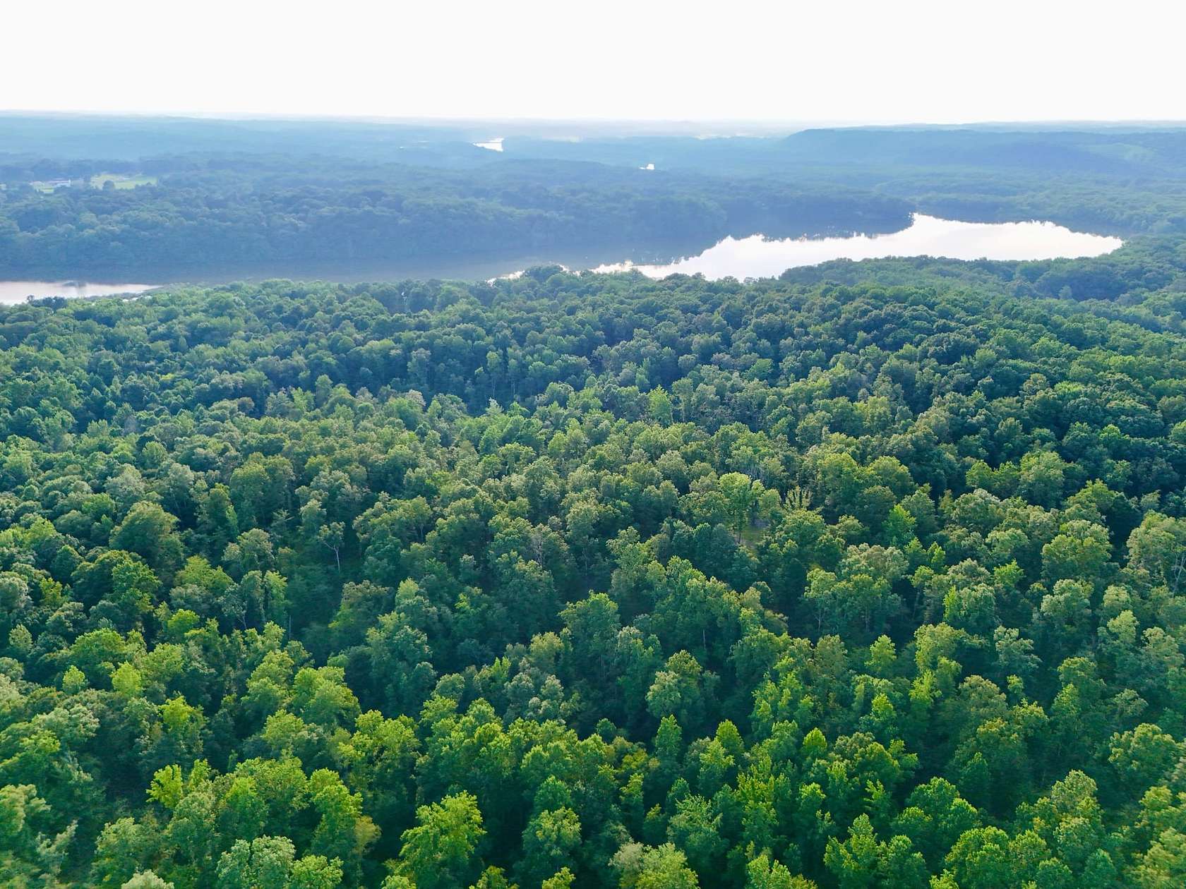 70.4 Acres of Recreational Land for Sale in Dover, Tennessee