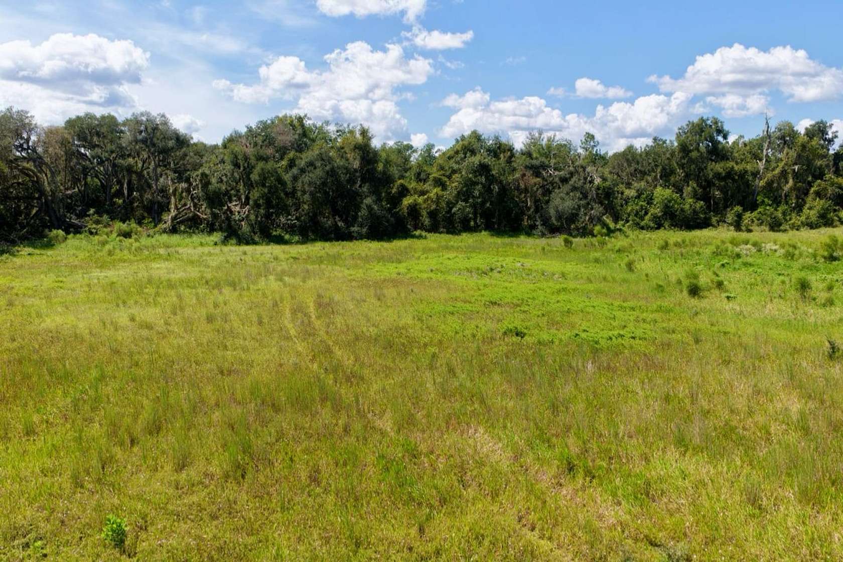 6.84 Acres of Recreational Land for Sale in Madison, Florida