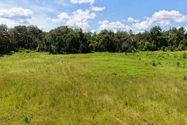 6.84 Acres of Recreational Land for Sale in Madison, Florida