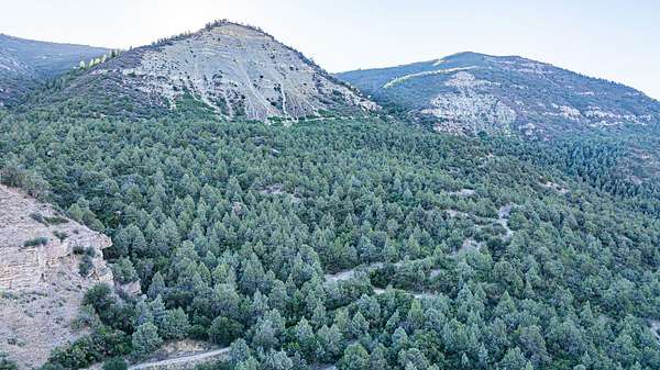 40 Acres of Recreational & Residential Land for Sale in Paonia, Colorado