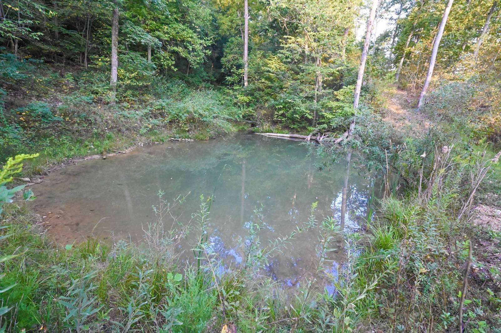 4.12 Acres of Residential Land for Sale in Seymour, Missouri