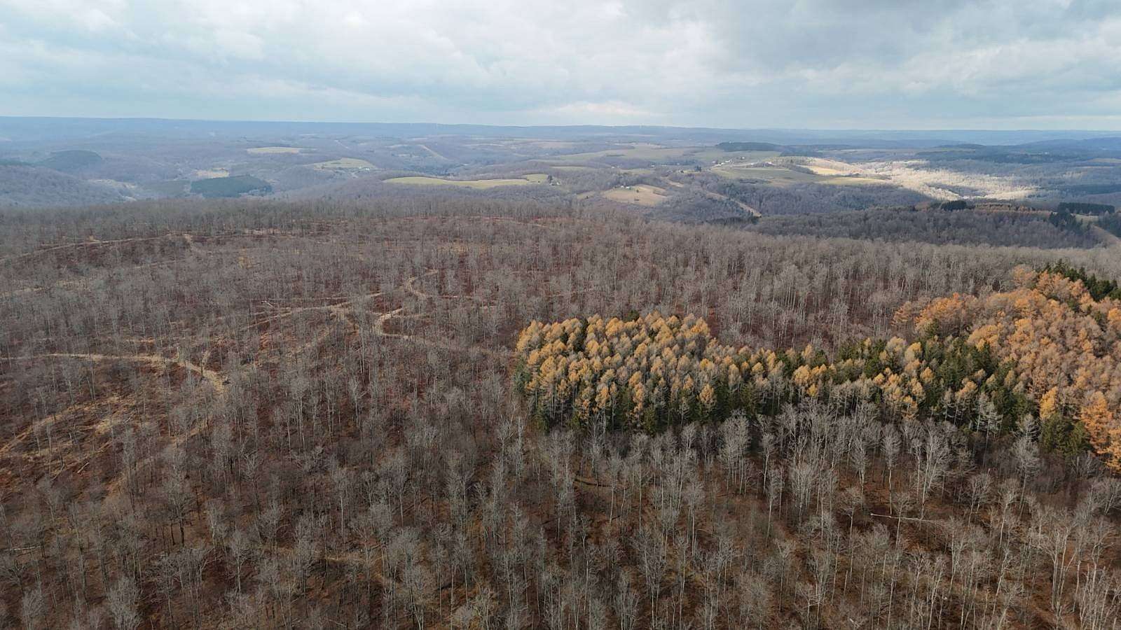 505 Acres of Land for Sale in Westfield, Pennsylvania