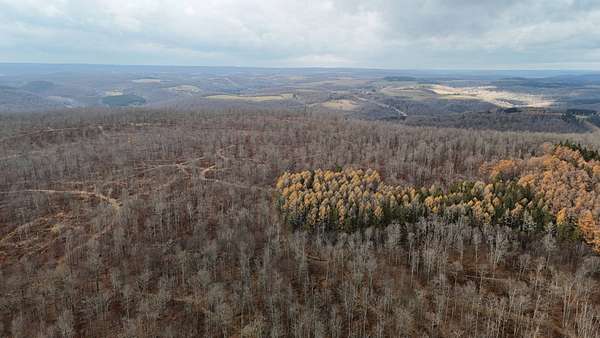505 Acres of Land for Sale in Westfield, Pennsylvania