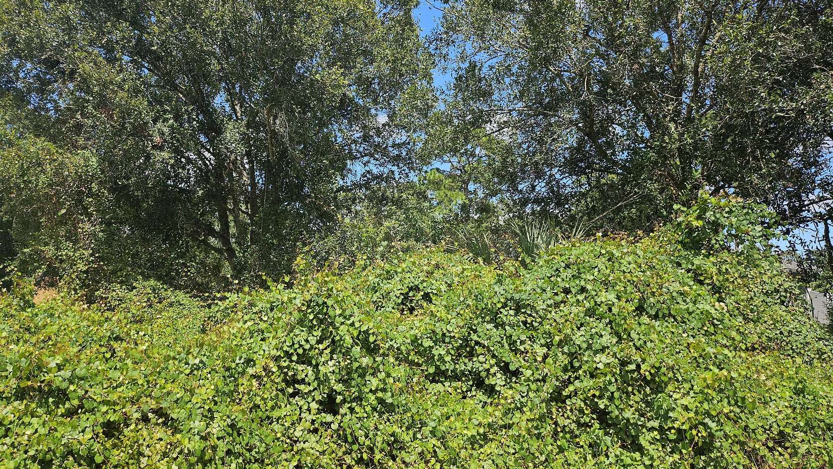 0.23 Acres of Residential Land for Sale in Port St. Lucie, Florida