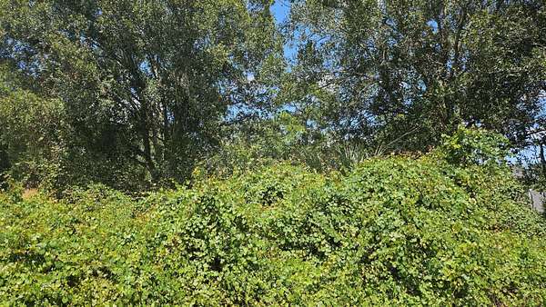 0.23 Acres of Residential Land for Sale in Port St. Lucie, Florida