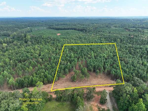 7 Acres of Residential Land for Sale in Wadley, Alabama