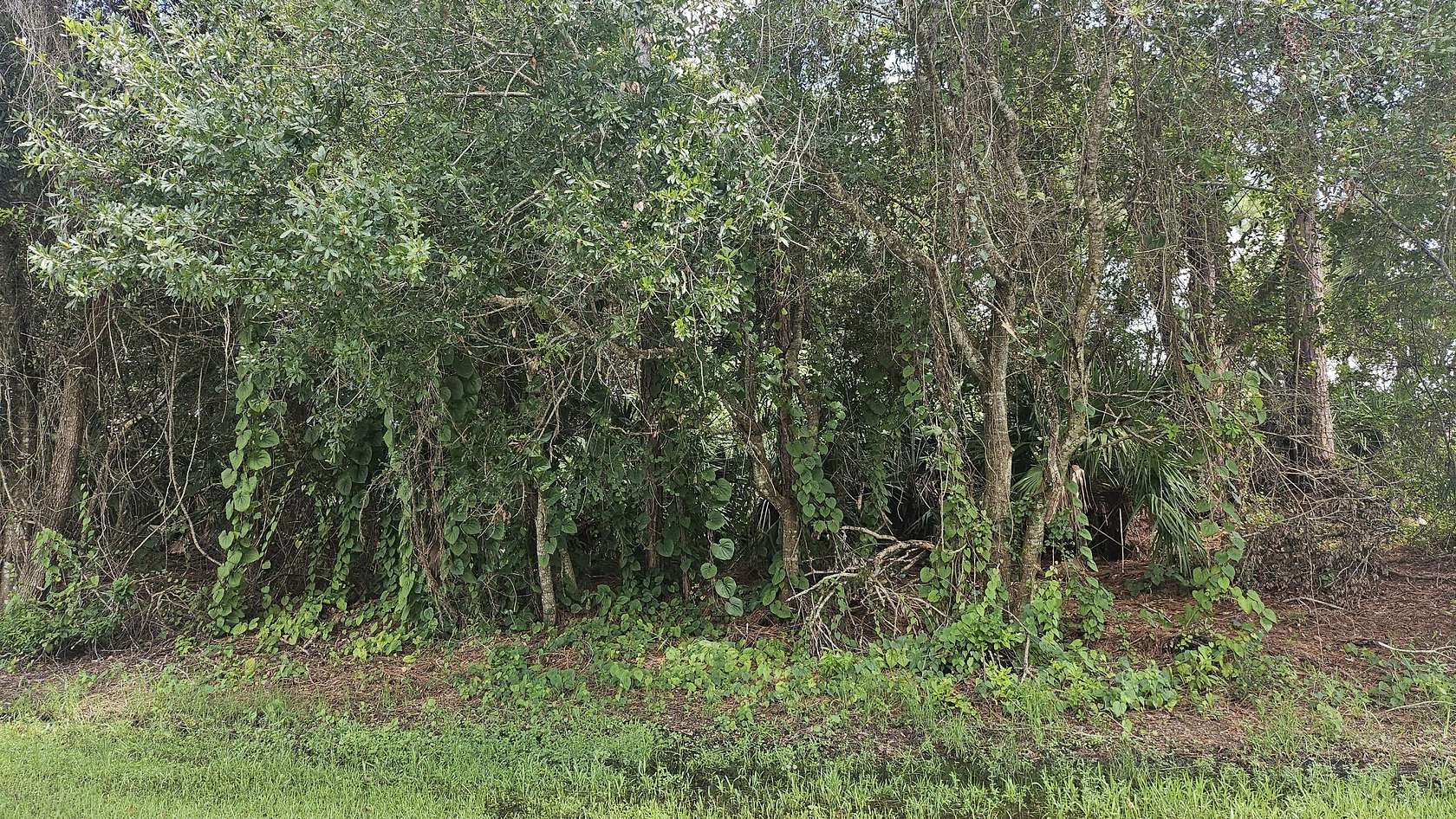 0.23 Acres of Residential Land for Sale in Port St. Lucie, Florida