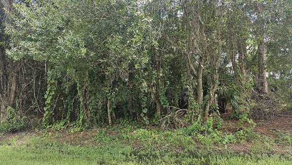 0.23 Acres of Residential Land for Sale in Port St. Lucie, Florida
