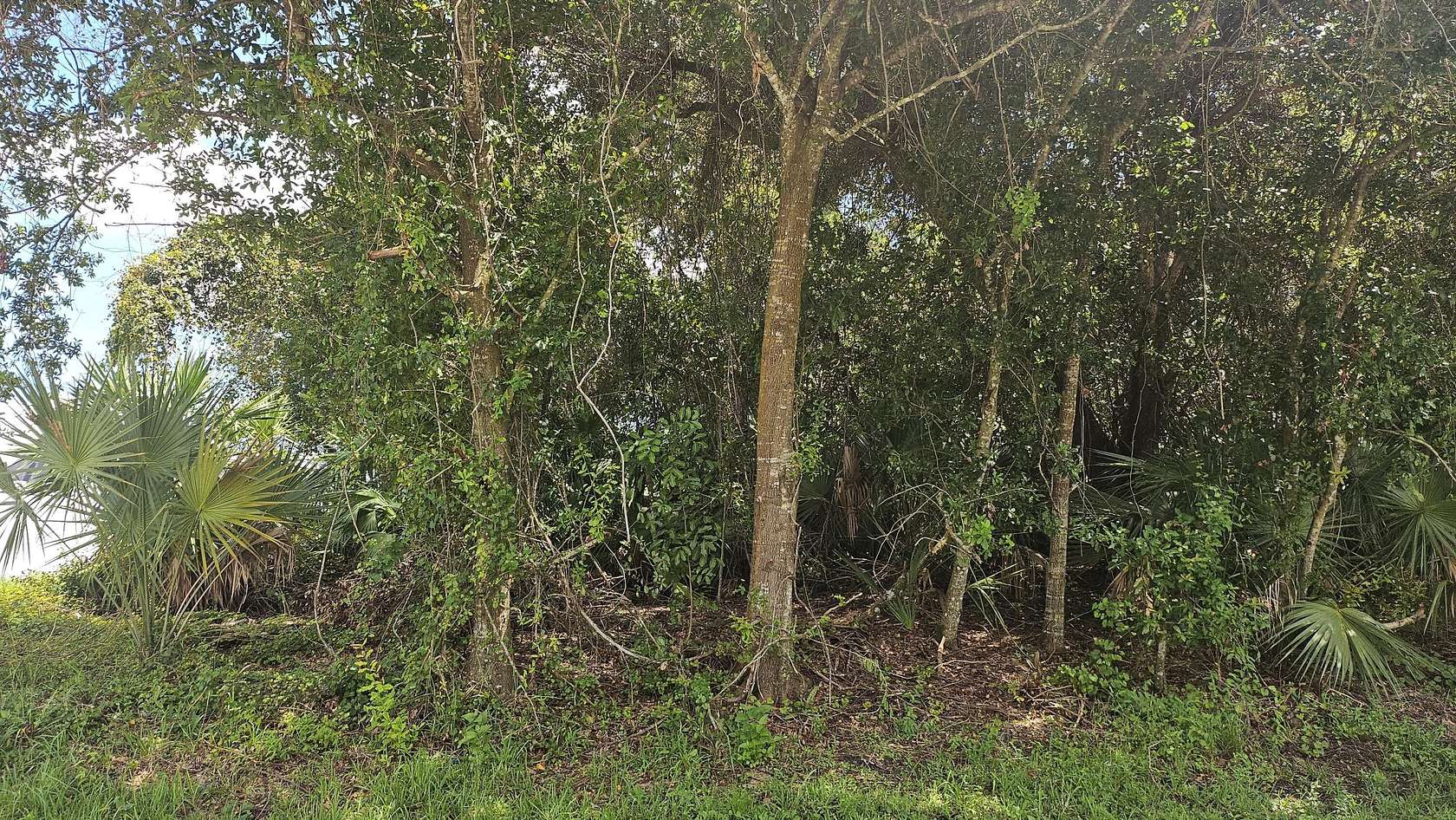 0.23 Acres of Residential Land for Sale in Port St. Lucie, Florida