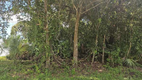 0.23 Acres of Residential Land for Sale in Port St. Lucie, Florida