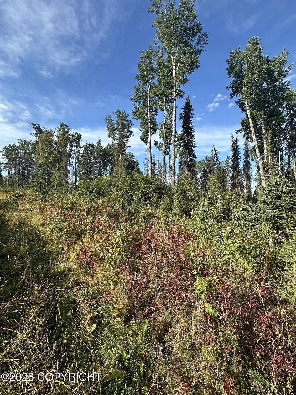 2.46 Acres of Residential Land for Sale in Sterling, Alaska