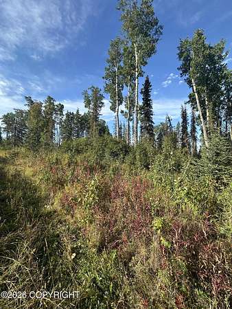 2.46 Acres of Residential Land for Sale in Sterling, Alaska