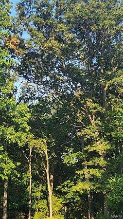 10 Acres of Residential Land for Sale in House Springs, Missouri