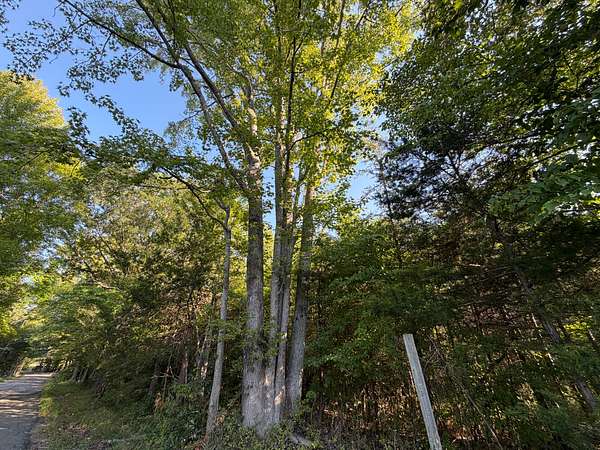 20.6 Acres of Recreational & Residential Land for Sale in Kents Store, Virginia