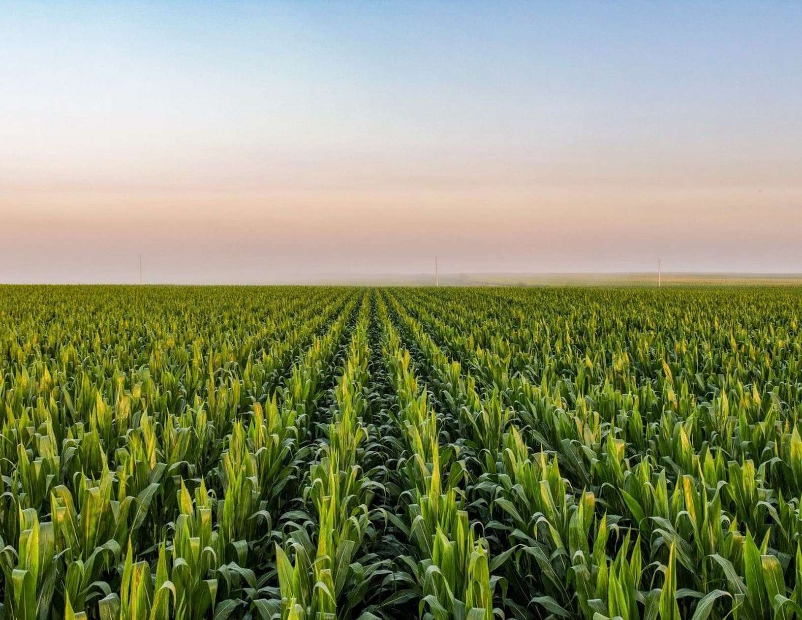 80 Acres of Land for Sale in Scranton, Iowa