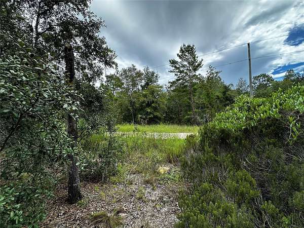 0.23 Acres of Residential Land for Sale in Williston, Florida