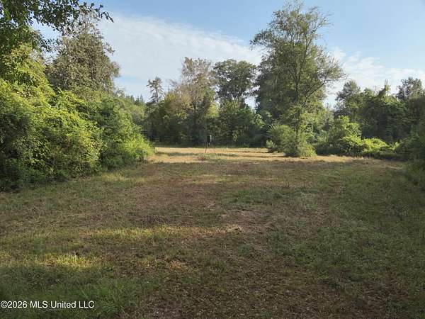 257 Acres of Recreational & Residential Land for Sale in Oak Vale, Mississippi