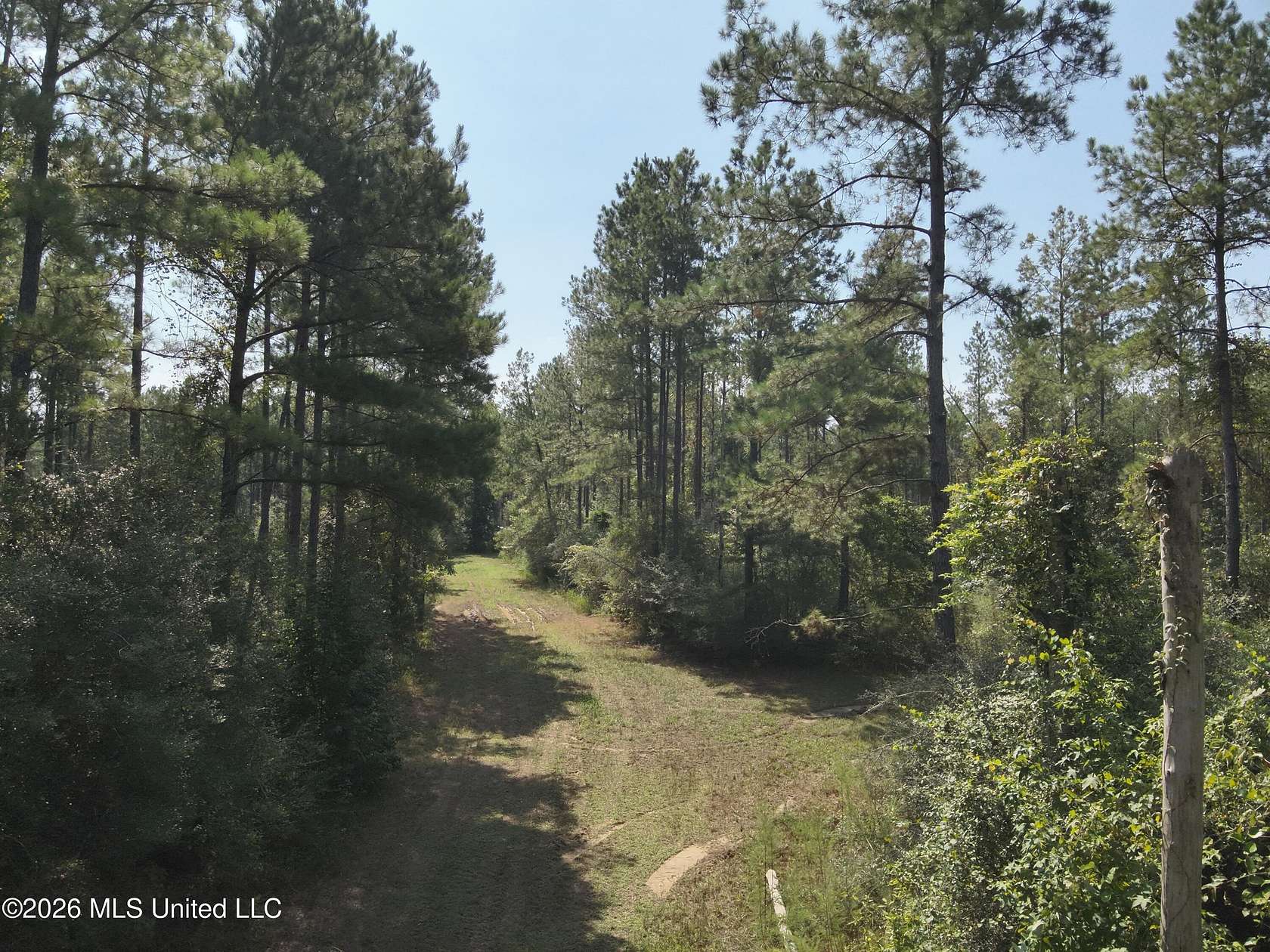 224 Acres of Recreational Land for Sale in Oak Vale, Mississippi