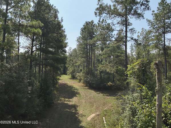224 Acres of Recreational Land for Sale in Oak Vale, Mississippi