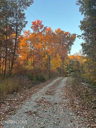 27.4 Acres of Recreational Land for Sale in Tellico Plains, Tennessee