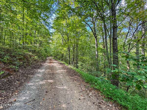 7.33 Acres of Residential Land for Sale in Tellico Plains, Tennessee