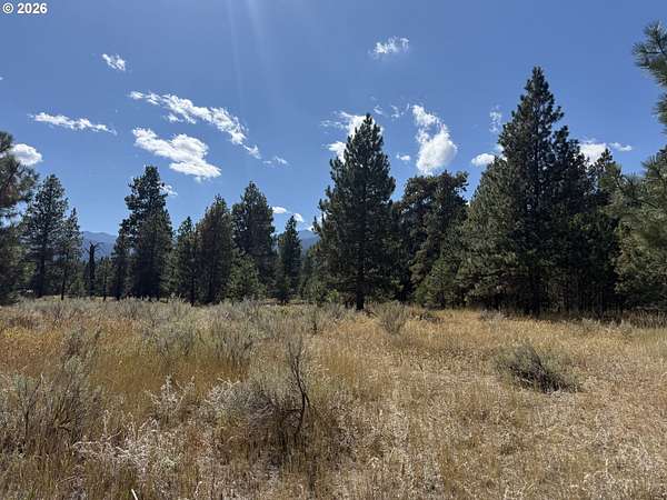5 Acres of Residential Land for Sale in Baker City, Oregon