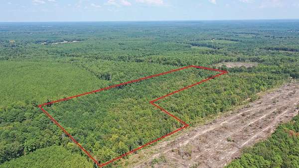 22 Acres of Recreational & Residential Land for Sale in Jefferson, Texas