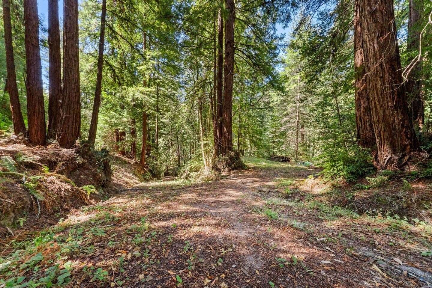 3 Acres of Residential Land for Sale in Santa Cruz, California