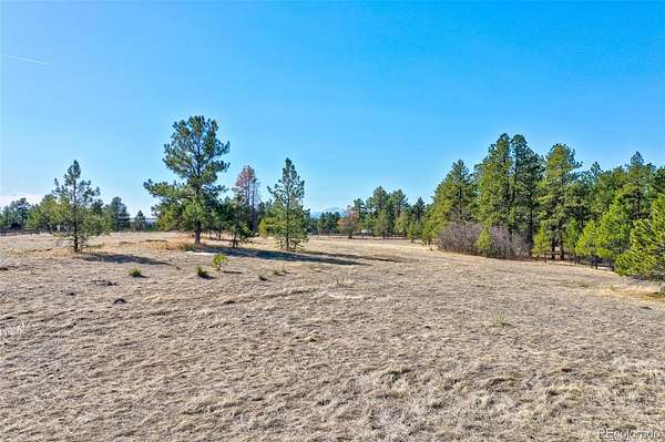 2 Acres of Residential Land for Sale in Franktown, Colorado