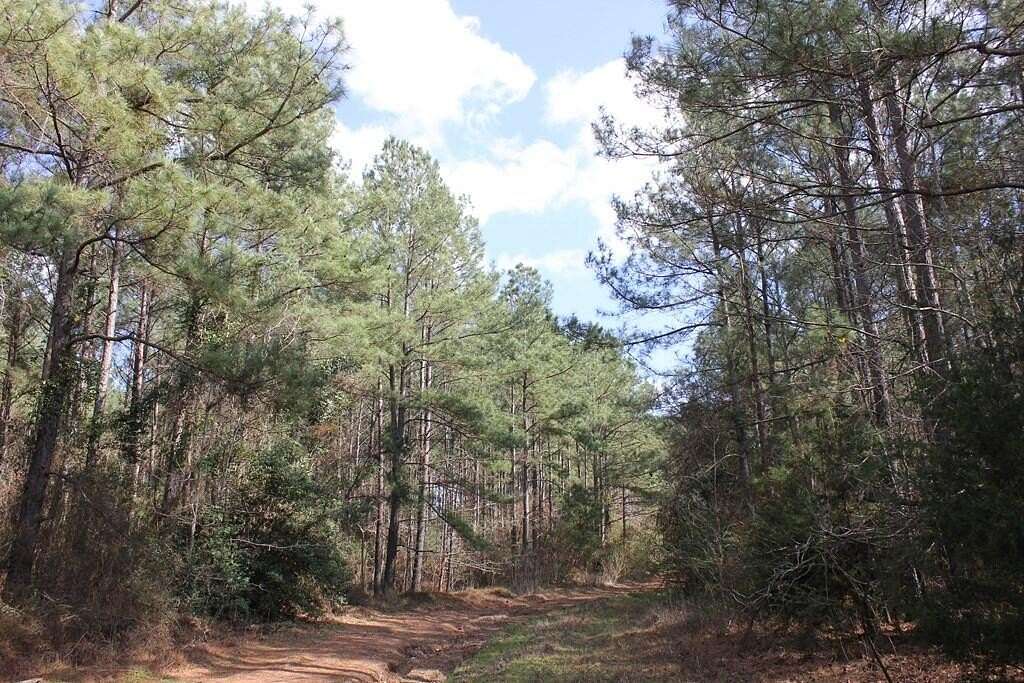 66 Acres of Recreational & Residential Land for Sale in Garrison, Texas