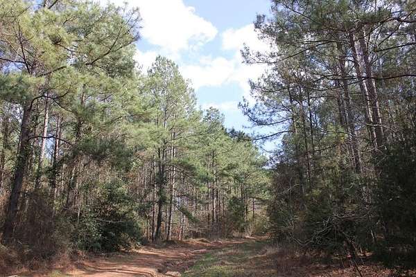 66 Acres of Recreational & Residential Land for Sale in Garrison, Texas