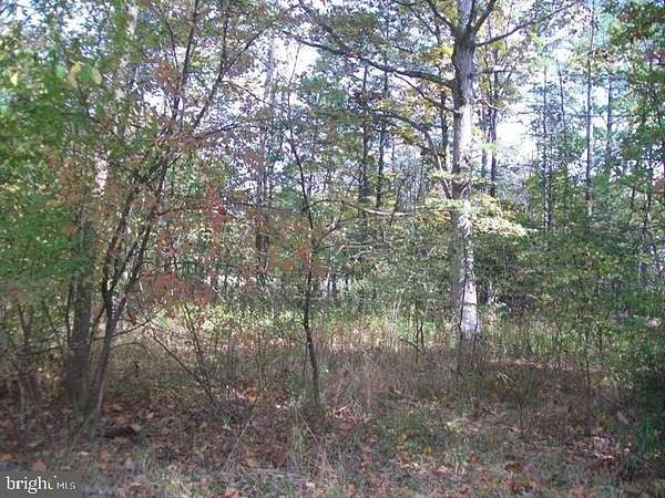 0.81 Acres of Land for Sale in Capon Bridge, West Virginia