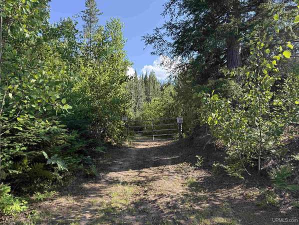 7 Acres of Recreational Land for Sale in Germfask, Michigan