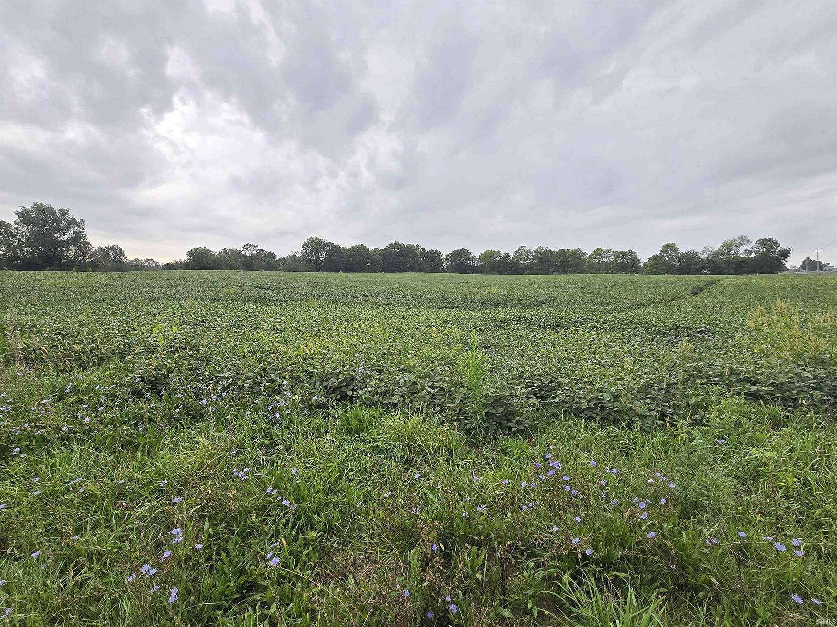 28.4 Acres of Land for Sale in Albion, Indiana