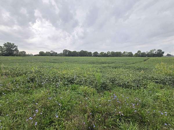 28.4 Acres of Land for Sale in Albion, Indiana