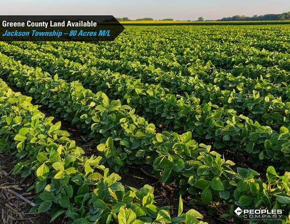 80 Acres of Land for Sale in Scranton, Iowa