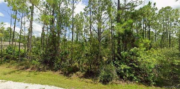 0.33 Acres of Residential Land for Sale in Punta Gorda, Florida