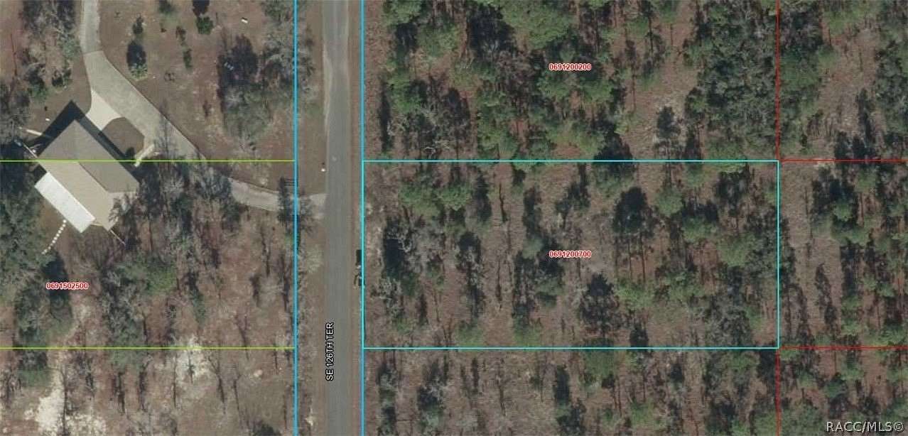 1 Acre of Residential Land for Sale in Dunnellon, Florida